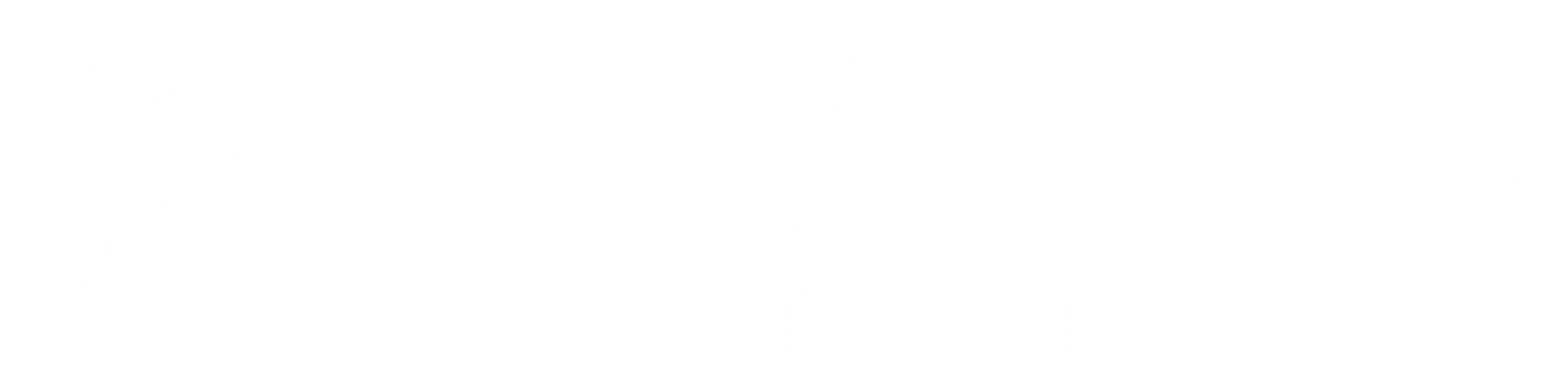 PIZZORNO ENVIRONNEMENT