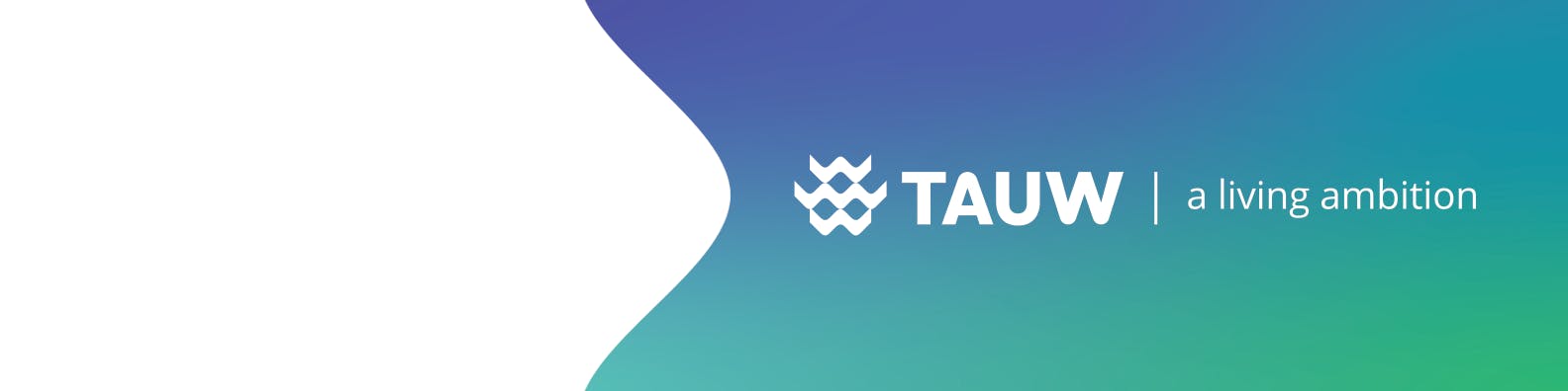 TAUW France