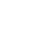 DSI Entreprise Adaptée et Inclusive